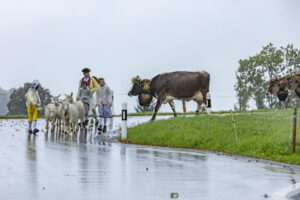 Appenzell, Appenzell Ausserrohden, Appenzeller Hinterland, Brauchtum, Landwirtschaft, Ostschweiz, Schweiz, Schönengrund, Sennen, Suisse, Switzerland, Tracht, Viehschau, Wirtschaft, tradition