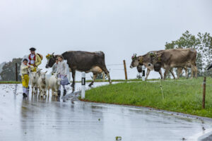 Appenzell, Appenzell Ausserrohden, Appenzeller Hinterland, Brauchtum, Landwirtschaft, Ostschweiz, Schweiz, Schönengrund, Sennen, Suisse, Switzerland, Tracht, Viehschau, Wirtschaft, tradition