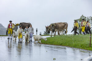 Appenzell, Appenzell Ausserrohden, Appenzeller Hinterland, Brauchtum, Landwirtschaft, Ostschweiz, Schweiz, Schönengrund, Sennen, Suisse, Switzerland, Tracht, Viehschau, Wirtschaft, tradition