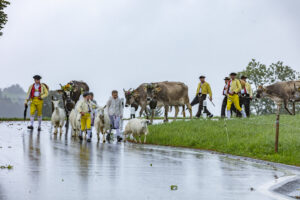 Appenzell, Appenzell Ausserrohden, Appenzeller Hinterland, Brauchtum, Landwirtschaft, Ostschweiz, Schweiz, Schönengrund, Sennen, Suisse, Switzerland, Tracht, Viehschau, Wirtschaft, tradition