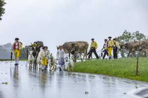 Appenzell, Appenzell Ausserrohden, Appenzeller Hinterland, Brauchtum, Landwirtschaft, Ostschweiz, Schweiz, Schönengrund, Sennen, Suisse, Switzerland, Tracht, Viehschau, Wirtschaft, tradition