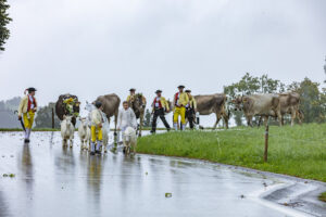 Appenzell, Appenzell Ausserrohden, Appenzeller Hinterland, Brauchtum, Landwirtschaft, Ostschweiz, Schweiz, Schönengrund, Sennen, Suisse, Switzerland, Tracht, Viehschau, Wirtschaft, tradition