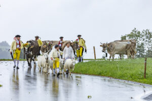 Appenzell, Appenzell Ausserrohden, Appenzeller Hinterland, Brauchtum, Landwirtschaft, Ostschweiz, Schweiz, Schönengrund, Sennen, Suisse, Switzerland, Tracht, Viehschau, Wirtschaft, tradition