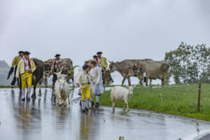 Appenzell, Appenzell Ausserrohden, Appenzeller Hinterland, Brauchtum, Landwirtschaft, Ostschweiz, Schweiz, Schönengrund, Sennen, Suisse, Switzerland, Tracht, Viehschau, Wirtschaft, tradition