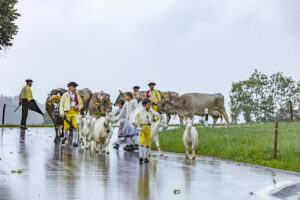 Appenzell, Appenzell Ausserrohden, Appenzeller Hinterland, Brauchtum, Landwirtschaft, Ostschweiz, Schweiz, Schönengrund, Sennen, Suisse, Switzerland, Tracht, Viehschau, Wirtschaft, tradition