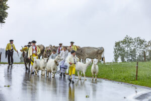 Appenzell, Appenzell Ausserrohden, Appenzeller Hinterland, Brauchtum, Landwirtschaft, Ostschweiz, Schweiz, Schönengrund, Sennen, Suisse, Switzerland, Tracht, Viehschau, Wirtschaft, tradition