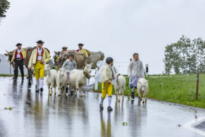 Appenzell, Appenzell Ausserrohden, Appenzeller Hinterland, Brauchtum, Landwirtschaft, Ostschweiz, Schweiz, Schönengrund, Sennen, Suisse, Switzerland, Tracht, Viehschau, Wirtschaft, tradition