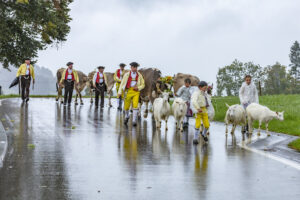 Appenzell, Appenzell Ausserrohden, Appenzeller Hinterland, Brauchtum, Landwirtschaft, Ostschweiz, Schweiz, Schönengrund, Sennen, Suisse, Switzerland, Tracht, Viehschau, Wirtschaft, tradition