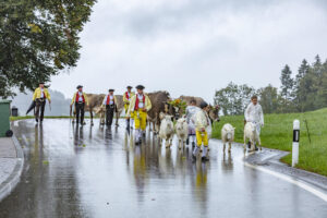 Appenzell, Appenzell Ausserrohden, Appenzeller Hinterland, Brauchtum, Landwirtschaft, Ostschweiz, Schweiz, Schönengrund, Sennen, Suisse, Switzerland, Tracht, Viehschau, Wirtschaft, tradition