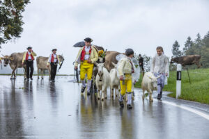 Appenzell, Appenzell Ausserrohden, Appenzeller Hinterland, Brauchtum, Landwirtschaft, Ostschweiz, Schweiz, Schönengrund, Sennen, Suisse, Switzerland, Tracht, Viehschau, Wirtschaft, tradition
