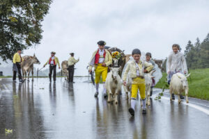 Appenzell, Appenzell Ausserrohden, Appenzeller Hinterland, Brauchtum, Landwirtschaft, Ostschweiz, Schweiz, Schönengrund, Sennen, Suisse, Switzerland, Tracht, Viehschau, Wirtschaft, tradition