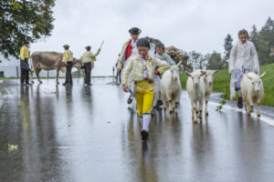 Appenzell, Appenzell Ausserrohden, Appenzeller Hinterland, Brauchtum, Landwirtschaft, Ostschweiz, Schweiz, Schönengrund, Sennen, Suisse, Switzerland, Tracht, Viehschau, Wirtschaft, tradition