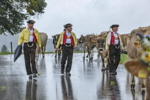 Appenzell, Appenzell Ausserrohden, Appenzeller Hinterland, Brauchtum, Landwirtschaft, Ostschweiz, Schweiz, Schönengrund, Sennen, Suisse, Switzerland, Tracht, Viehschau, Wirtschaft, tradition