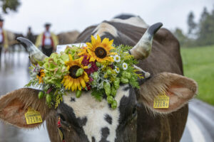 Appenzell, Appenzell Ausserrohden, Appenzeller Hinterland, Brauchtum, Landwirtschaft, Ostschweiz, Schweiz, Schönengrund, Sennen, Suisse, Switzerland, Tracht, Viehschau, Wirtschaft, tradition