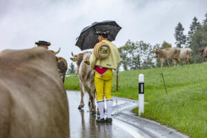 Appenzell, Appenzell Ausserrohden, Appenzeller Hinterland, Brauchtum, Landwirtschaft, Ostschweiz, Schweiz, Schönengrund, Sennen, Suisse, Switzerland, Tracht, Viehschau, Wirtschaft, tradition