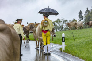 Appenzell, Appenzell Ausserrohden, Appenzeller Hinterland, Brauchtum, Landwirtschaft, Ostschweiz, Schweiz, Schönengrund, Sennen, Suisse, Switzerland, Tracht, Viehschau, Wirtschaft, tradition