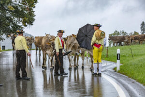 Appenzell, Appenzell Ausserrohden, Appenzeller Hinterland, Brauchtum, Landwirtschaft, Ostschweiz, Schweiz, Schönengrund, Sennen, Suisse, Switzerland, Tracht, Viehschau, Wirtschaft, tradition