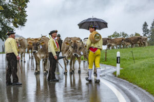 Appenzell, Appenzell Ausserrohden, Appenzeller Hinterland, Brauchtum, Landwirtschaft, Ostschweiz, Schweiz, Schönengrund, Sennen, Suisse, Switzerland, Tracht, Viehschau, Wirtschaft, tradition