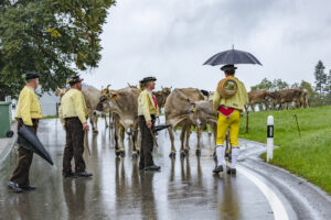 Appenzell, Appenzell Ausserrohden, Appenzeller Hinterland, Brauchtum, Landwirtschaft, Ostschweiz, Schweiz, Schönengrund, Sennen, Suisse, Switzerland, Tracht, Viehschau, Wirtschaft, tradition