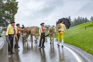 Appenzell, Appenzell Ausserrohden, Appenzeller Hinterland, Brauchtum, Landwirtschaft, Ostschweiz, Schweiz, Schönengrund, Sennen, Suisse, Switzerland, Tracht, Viehschau, Wirtschaft, tradition