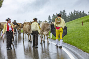 Appenzell, Appenzell Ausserrohden, Appenzeller Hinterland, Brauchtum, Landwirtschaft, Ostschweiz, Schweiz, Schönengrund, Sennen, Suisse, Switzerland, Tracht, Viehschau, Wirtschaft, tradition