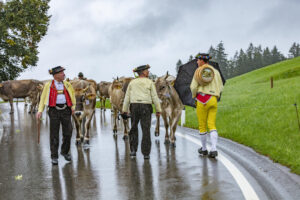 Appenzell, Appenzell Ausserrohden, Appenzeller Hinterland, Brauchtum, Landwirtschaft, Ostschweiz, Schweiz, Schönengrund, Sennen, Suisse, Switzerland, Tracht, Viehschau, Wirtschaft, tradition
