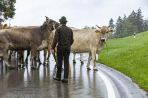 Appenzell, Appenzell Ausserrohden, Appenzeller Hinterland, Brauchtum, Landwirtschaft, Ostschweiz, Schweiz, Schönengrund, Sennen, Suisse, Switzerland, Tracht, Viehschau, Wirtschaft, tradition