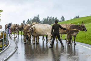 Appenzell, Appenzell Ausserrohden, Appenzeller Hinterland, Brauchtum, Landwirtschaft, Ostschweiz, Schweiz, Schönengrund, Sennen, Suisse, Switzerland, Tracht, Viehschau, Wirtschaft, tradition