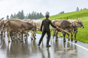 Appenzell, Appenzell Ausserrohden, Appenzeller Hinterland, Brauchtum, Landwirtschaft, Ostschweiz, Schweiz, Schönengrund, Sennen, Suisse, Switzerland, Tracht, Viehschau, Wirtschaft, tradition