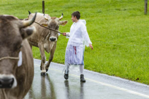 Appenzell, Appenzell Ausserrohden, Appenzeller Hinterland, Brauchtum, Landwirtschaft, Ostschweiz, Schweiz, Schönengrund, Sennen, Suisse, Switzerland, Tracht, Viehschau, Wirtschaft, tradition
