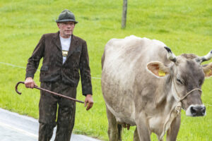 Appenzell, Appenzell Ausserrohden, Appenzeller Hinterland, Brauchtum, Landwirtschaft, Ostschweiz, Schweiz, Schönengrund, Sennen, Suisse, Switzerland, Tracht, Viehschau, Wirtschaft, tradition