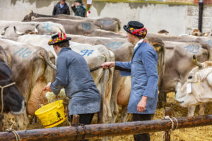 Appenzell, Appenzell Ausserrohden, Appenzeller Hinterland, Brauchtum, Landwirtschaft, Ostschweiz, Schweiz, Schönengrund, Sennen, Suisse, Switzerland, Tracht, Viehschau, Wirtschaft, tradition