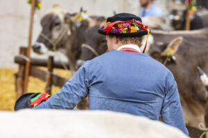 Appenzell, Appenzell Ausserrohden, Appenzeller Hinterland, Brauchtum, Landwirtschaft, Ostschweiz, Schweiz, Schönengrund, Sennen, Suisse, Switzerland, Tracht, Viehschau, Wirtschaft, tradition