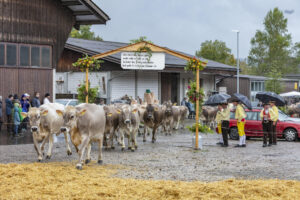 Appenzell, Appenzell Ausserrohden, Appenzeller Hinterland, Brauchtum, Landwirtschaft, Ostschweiz, Schweiz, Schönengrund, Sennen, Suisse, Switzerland, Tracht, Viehschau, Wirtschaft, tradition