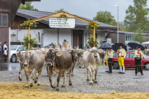 Appenzell, Appenzell Ausserrohden, Appenzeller Hinterland, Brauchtum, Landwirtschaft, Ostschweiz, Schweiz, Schönengrund, Sennen, Suisse, Switzerland, Tracht, Viehschau, Wirtschaft, tradition