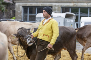 Appenzell, Appenzell Ausserrohden, Appenzeller Hinterland, Brauchtum, Landwirtschaft, Ostschweiz, Schweiz, Schönengrund, Sennen, Suisse, Switzerland, Tracht, Viehschau, Wirtschaft, tradition