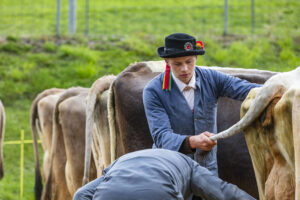 Appenzell, Appenzell Ausserrohden, Appenzeller Hinterland, Brauchtum, Landwirtschaft, Ostschweiz, Schweiz, Schönengrund, Sennen, Suisse, Switzerland, Tracht, Viehschau, Wirtschaft, tradition