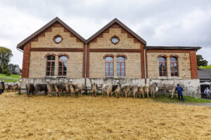 Appenzell, Appenzell Ausserrohden, Appenzeller Hinterland, Brauchtum, Landwirtschaft, Ostschweiz, Schweiz, Schönengrund, Sennen, Suisse, Switzerland, Tracht, Viehschau, Wirtschaft, tradition