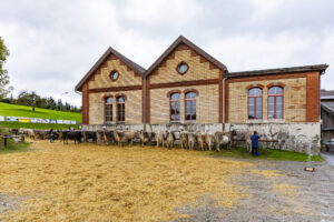 Appenzell, Appenzell Ausserrohden, Appenzeller Hinterland, Brauchtum, Landwirtschaft, Ostschweiz, Schweiz, Schönengrund, Sennen, Suisse, Switzerland, Tracht, Viehschau, Wirtschaft, tradition