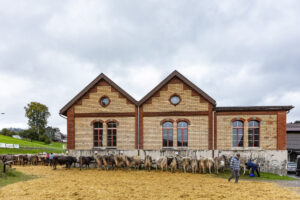 Appenzell, Appenzell Ausserrohden, Appenzeller Hinterland, Brauchtum, Landwirtschaft, Ostschweiz, Schweiz, Schönengrund, Sennen, Suisse, Switzerland, Tracht, Viehschau, Wirtschaft, tradition