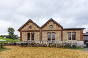 Appenzell, Appenzell Ausserrohden, Appenzeller Hinterland, Brauchtum, Landwirtschaft, Ostschweiz, Schweiz, Schönengrund, Sennen, Suisse, Switzerland, Tracht, Viehschau, Wirtschaft, tradition