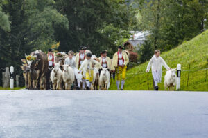 Appenzell, Appenzell Ausserrohden, Appenzeller Hinterland, Brauchtum, Landwirtschaft, Ostschweiz, Schweiz, Schönengrund, Sennen, Suisse, Switzerland, Tracht, Viehschau, Wirtschaft, tradition