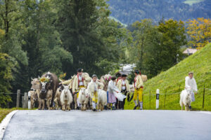 Appenzell, Appenzell Ausserrohden, Appenzeller Hinterland, Brauchtum, Landwirtschaft, Ostschweiz, Schweiz, Schönengrund, Sennen, Suisse, Switzerland, Tracht, Viehschau, Wirtschaft, tradition