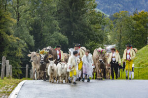 Appenzell, Appenzell Ausserrohden, Appenzeller Hinterland, Brauchtum, Landwirtschaft, Ostschweiz, Schweiz, Schönengrund, Sennen, Suisse, Switzerland, Tracht, Viehschau, Wirtschaft, tradition