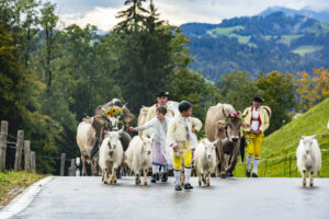 Appenzell, Appenzell Ausserrohden, Appenzeller Hinterland, Brauchtum, Landwirtschaft, Ostschweiz, Schweiz, Schönengrund, Sennen, Suisse, Switzerland, Tracht, Viehschau, Wirtschaft, tradition