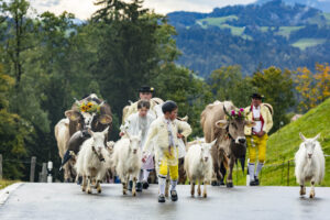 Appenzell, Appenzell Ausserrohden, Appenzeller Hinterland, Brauchtum, Landwirtschaft, Ostschweiz, Schweiz, Schönengrund, Sennen, Suisse, Switzerland, Tracht, Viehschau, Wirtschaft, tradition