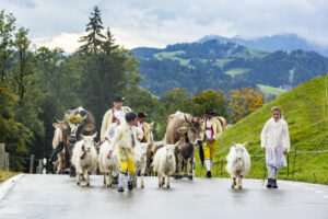 Appenzell, Appenzell Ausserrohden, Appenzeller Hinterland, Brauchtum, Landwirtschaft, Ostschweiz, Schweiz, Schönengrund, Sennen, Suisse, Switzerland, Tracht, Viehschau, Wirtschaft, tradition