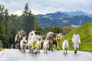 Appenzell, Appenzell Ausserrohden, Appenzeller Hinterland, Brauchtum, Landwirtschaft, Ostschweiz, Schweiz, Schönengrund, Sennen, Suisse, Switzerland, Tracht, Viehschau, Wirtschaft, tradition