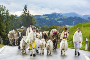 Appenzell, Appenzell Ausserrohden, Appenzeller Hinterland, Brauchtum, Landwirtschaft, Ostschweiz, Schweiz, Schönengrund, Sennen, Suisse, Switzerland, Tracht, Viehschau, Wirtschaft, tradition