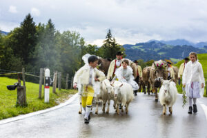 Appenzell, Appenzell Ausserrohden, Appenzeller Hinterland, Brauchtum, Landwirtschaft, Ostschweiz, Schweiz, Schönengrund, Sennen, Suisse, Switzerland, Tracht, Viehschau, Wirtschaft, tradition